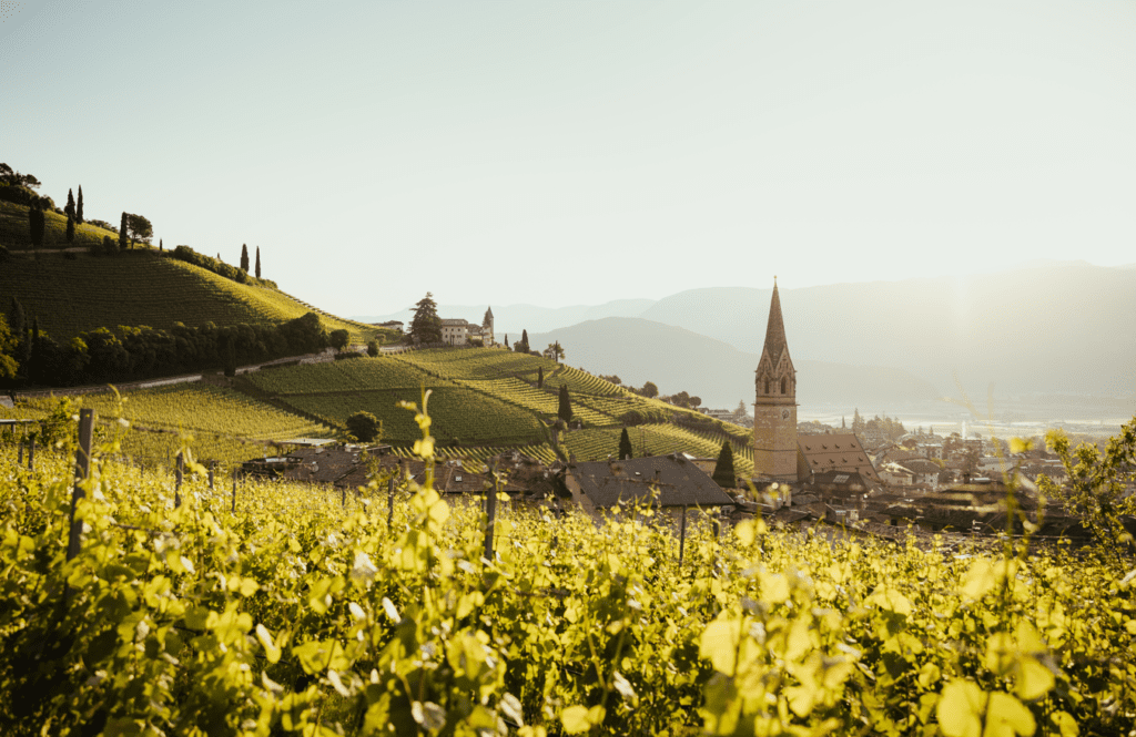 Enoturismo in Alto Adige