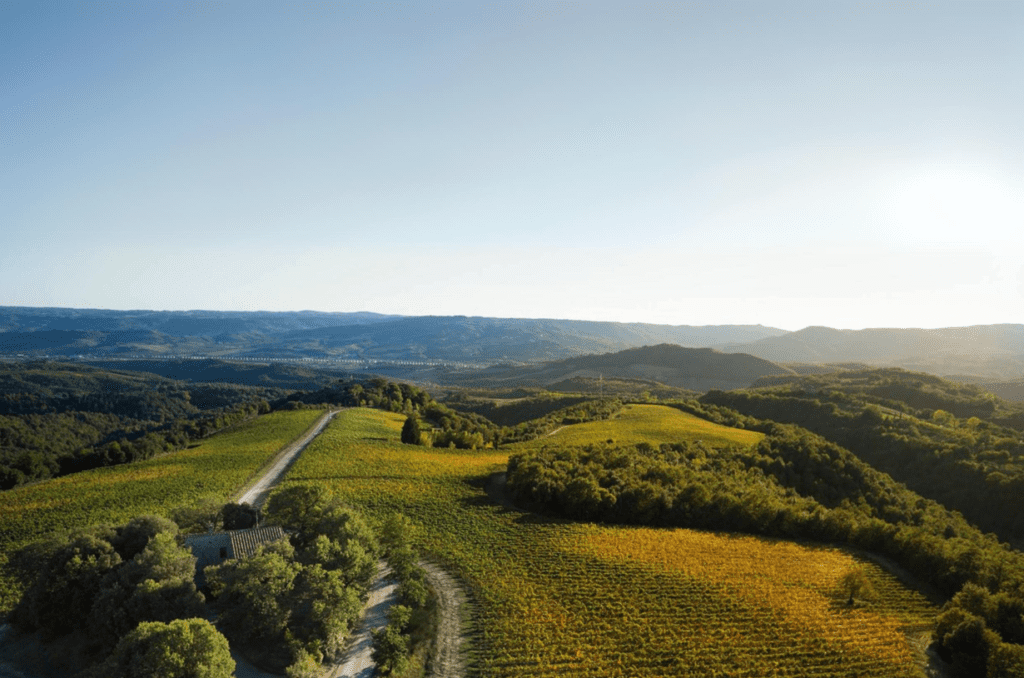 Movimento Turismo del Vino Umbria