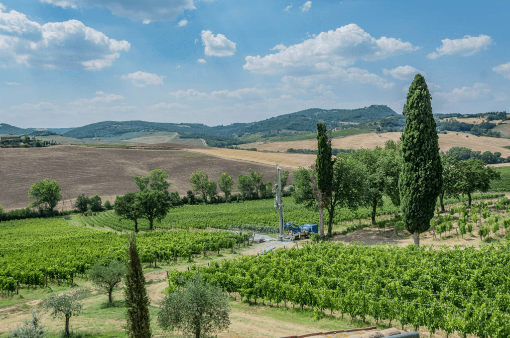 Il Vino Nobile di Montepulciano di Fattoria della Talosa