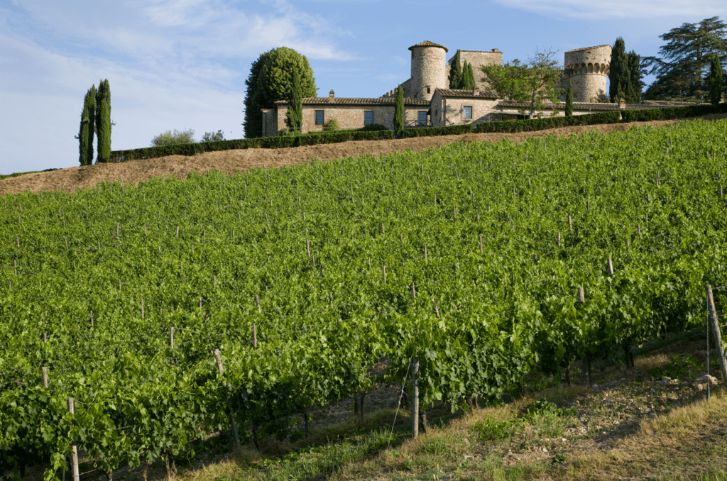 Castello di Meleto