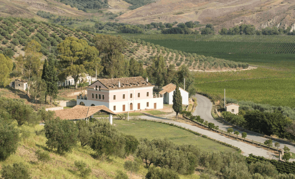 museo del vino Vi.Te.S.