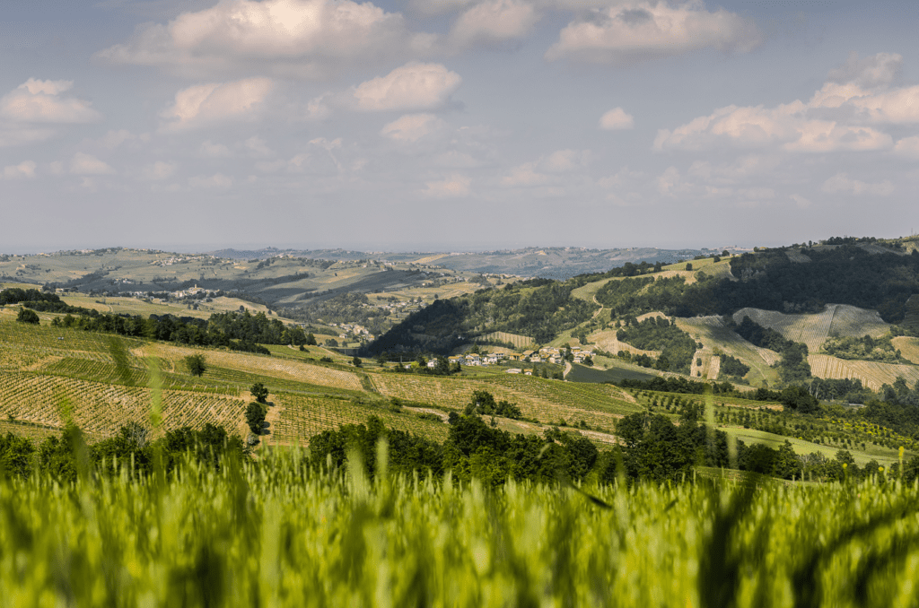 Oltrepò – Terra di Pinot Nero