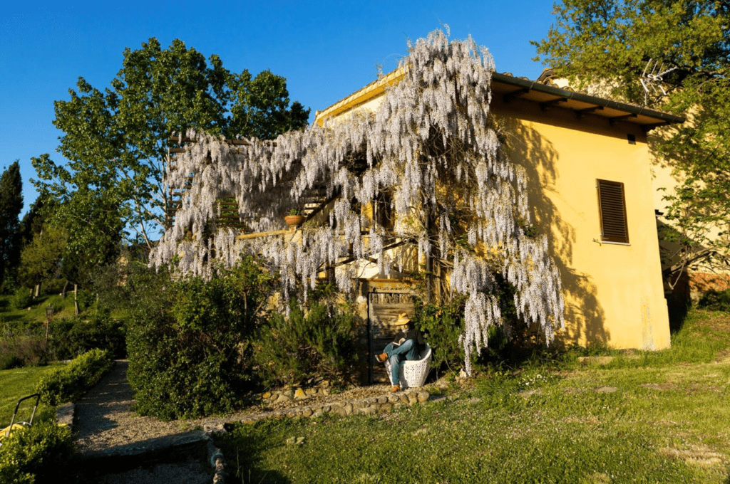 Tenuta Romignano