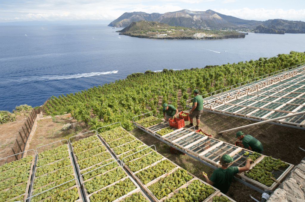 Assovini Sicilia, il Consorzio di Tutela vini DOC Sicilia, la Fondazione SOStain Sicilia, durante l’Expo Divinazione del G7 di Siracusa