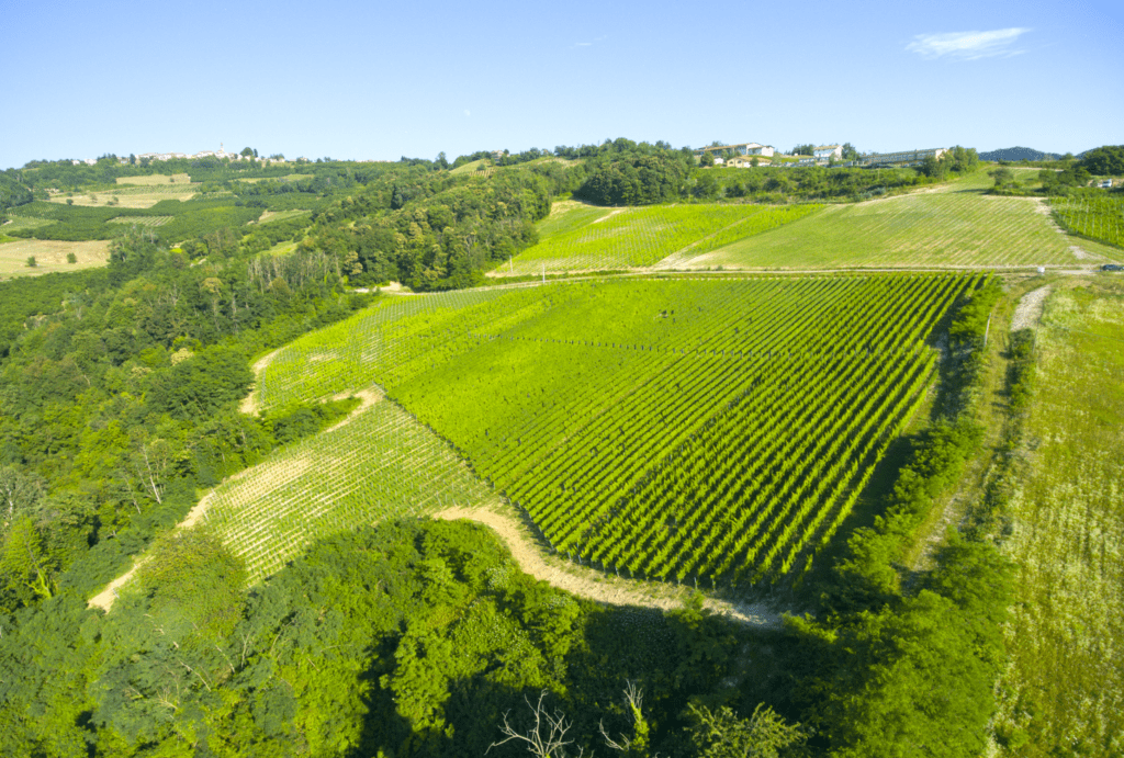 Tenuta Carretta Alta Langa DOCG Airali Extra Brut Blanc de Blanc 2021