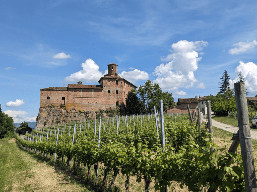 Barolo DOCG Albe 2020