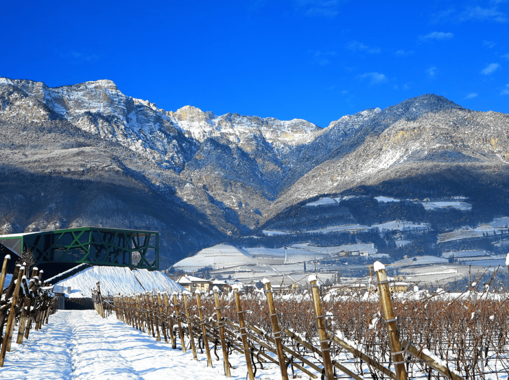 Il Natale dei cinque sensi