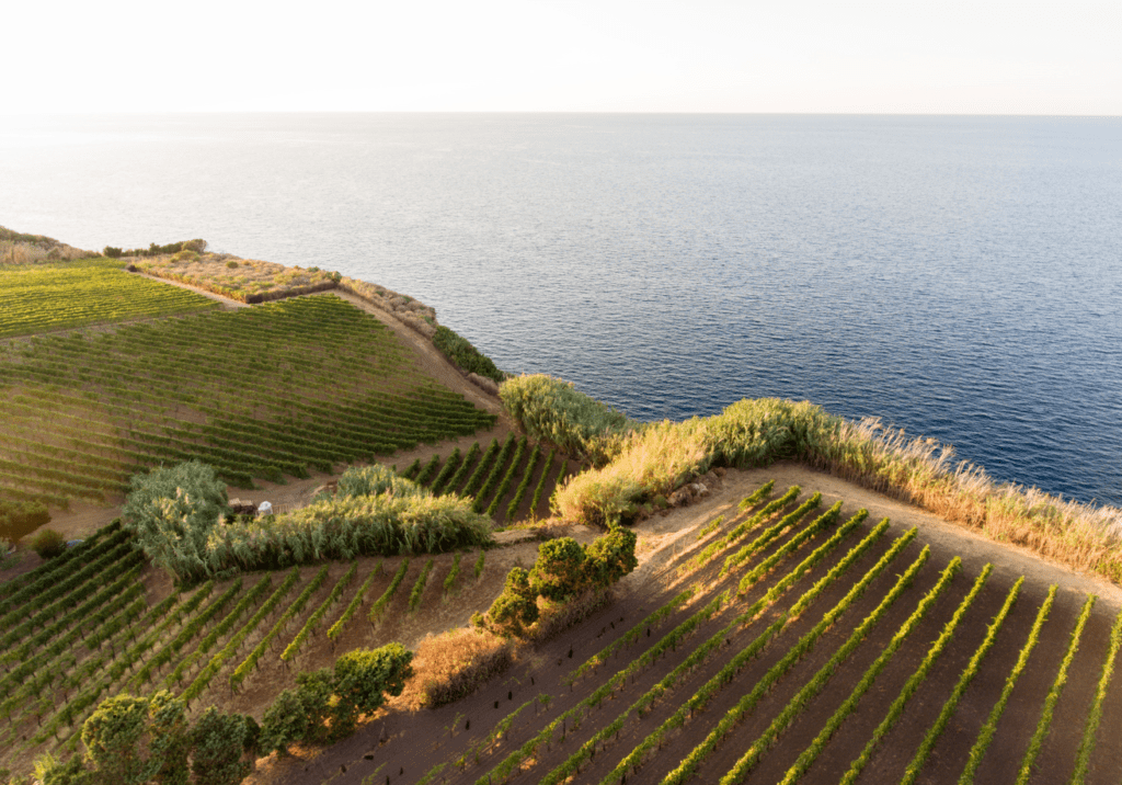 La Sicilia di Ulisse