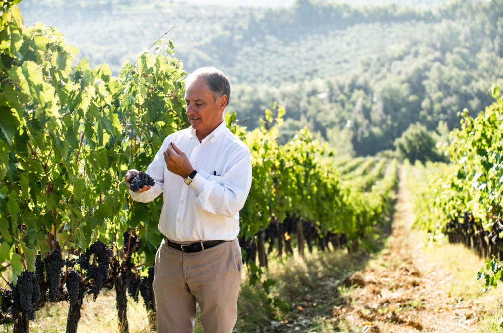 Chianti Classico DOCG Gran Selezione di Villa Rosa