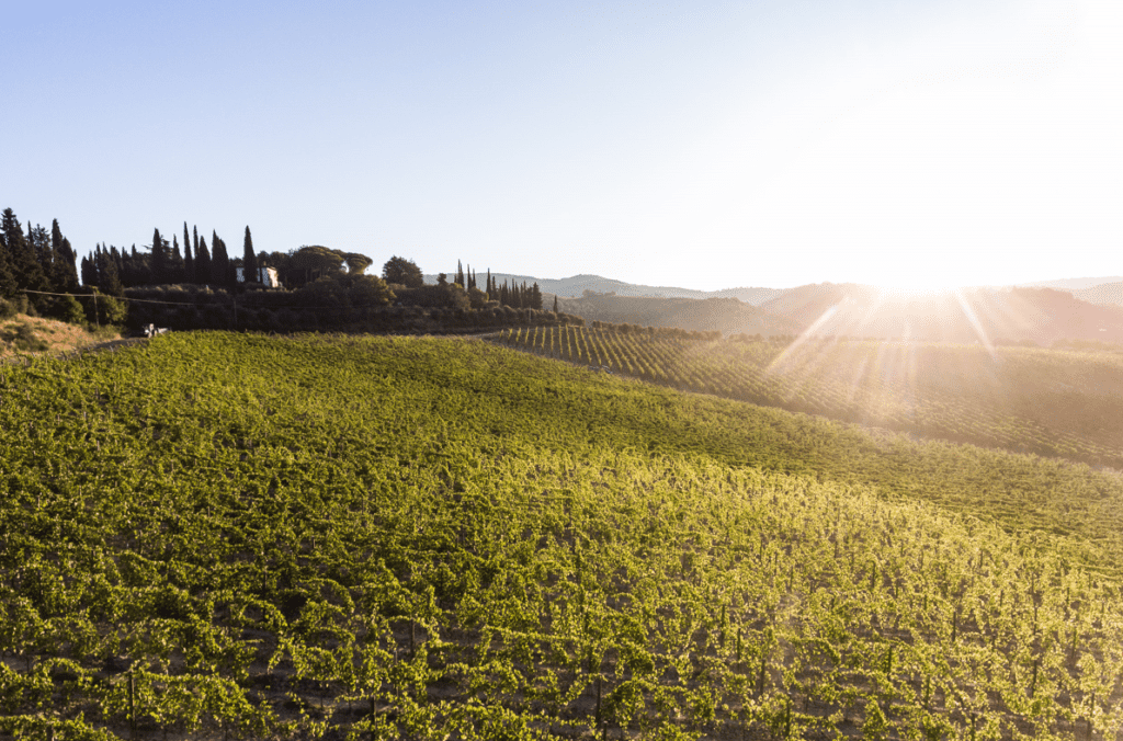 Chianti Classico DOCG Gran Selezione di Villa Rosa