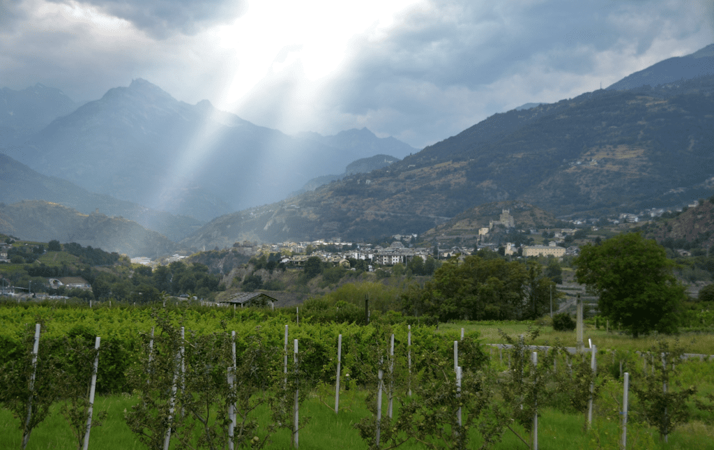 Consorzio Vini Valle d’Aosta