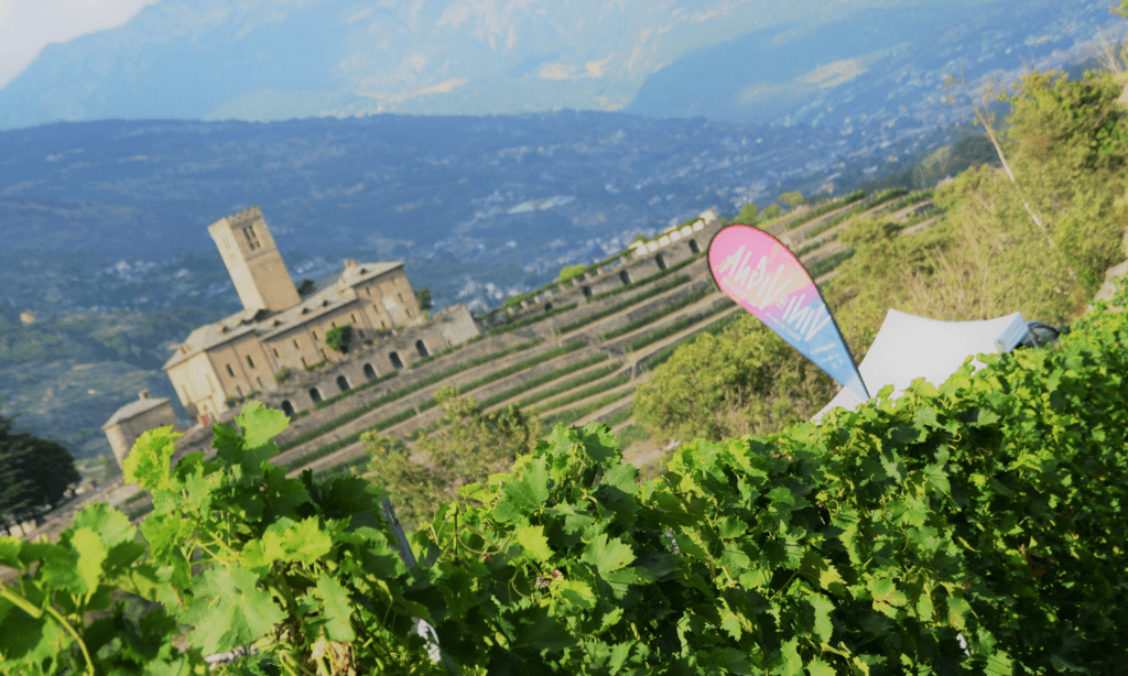 Consorzio Vini Valle d’Aosta