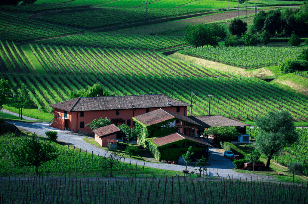 Azienda Agricola Pighin