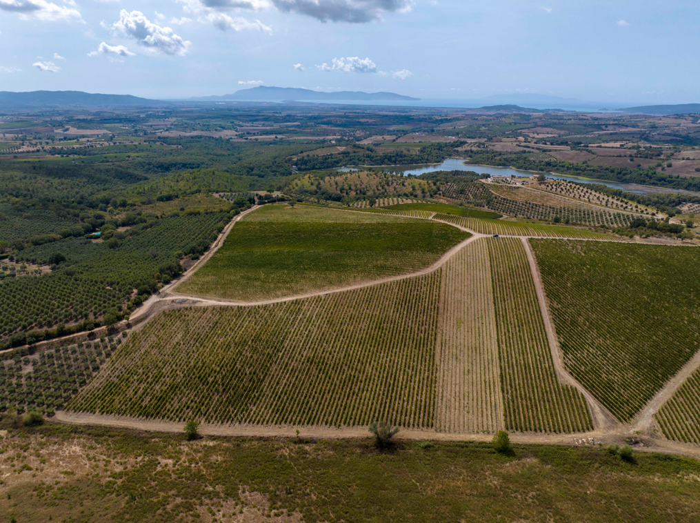 Doc Maremma Toscana