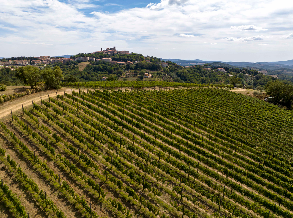 Doc Maremma Toscana