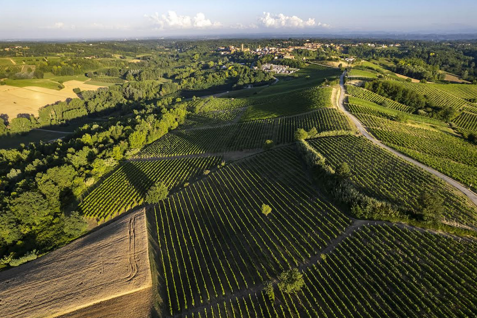 Ferraris Agricola