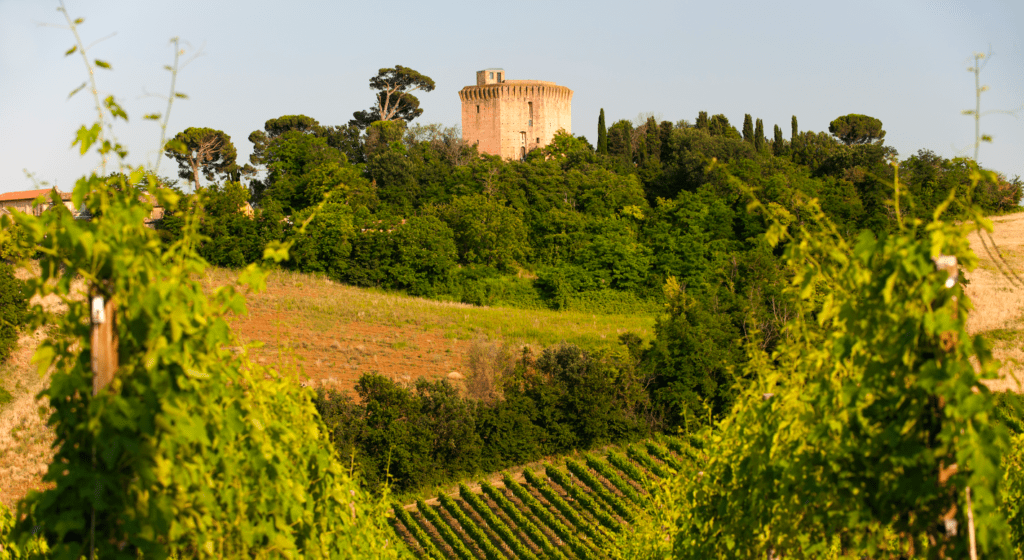 Il Consorzio Vini di Romagna debutta a Wine Paris 2025