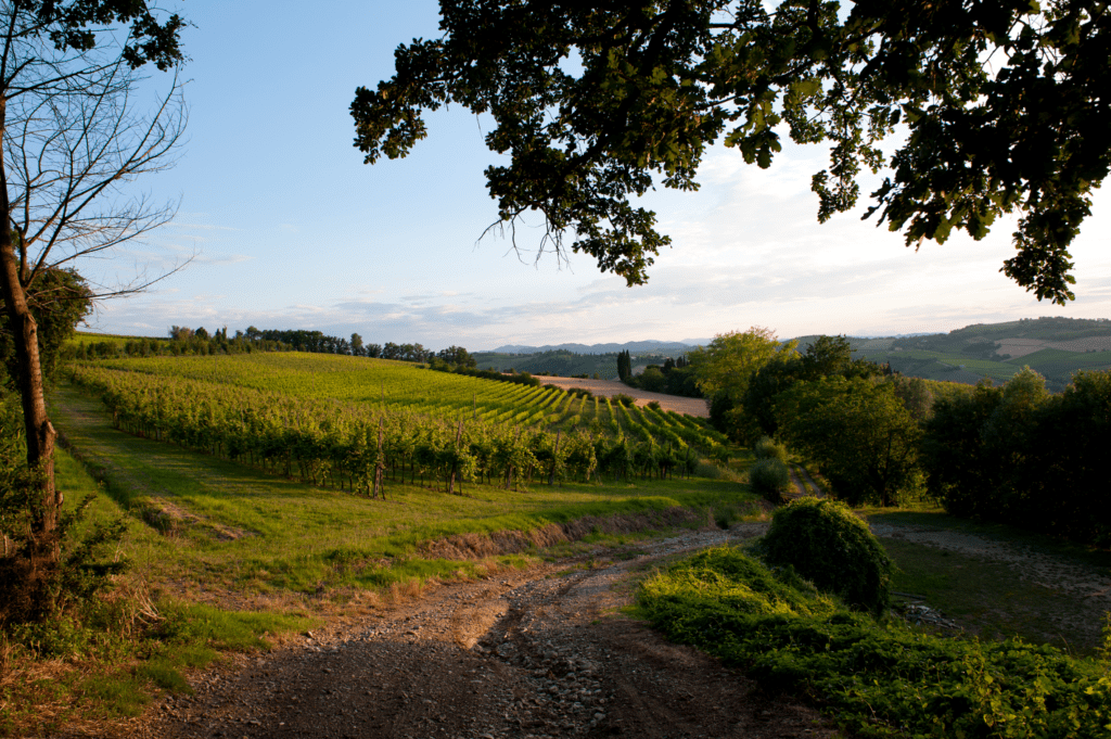 Il Consorzio Vini di Romagna debutta a Wine Paris 2025