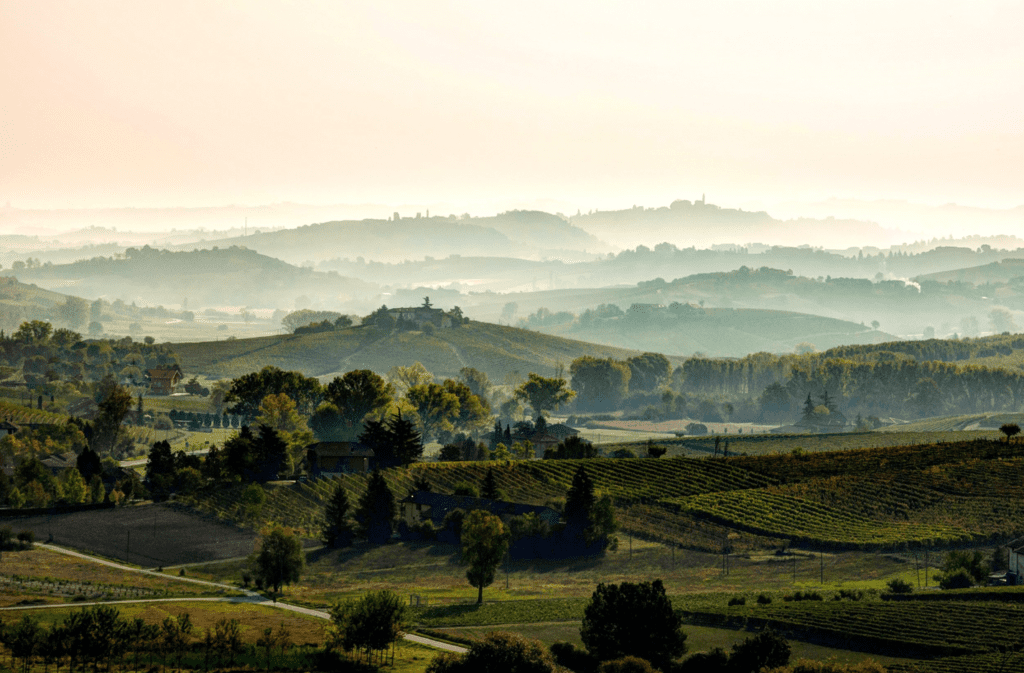 Consorzio Barbera d’Asti e Vini del Monferrato