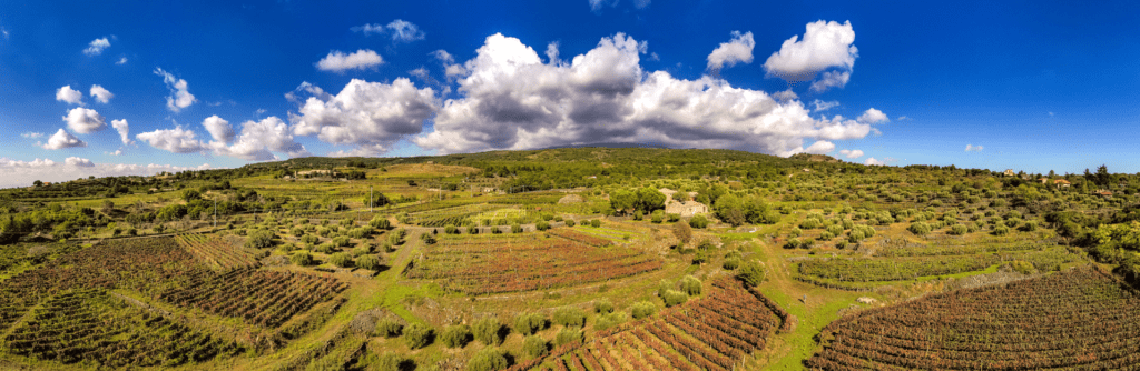 cantina Benanti