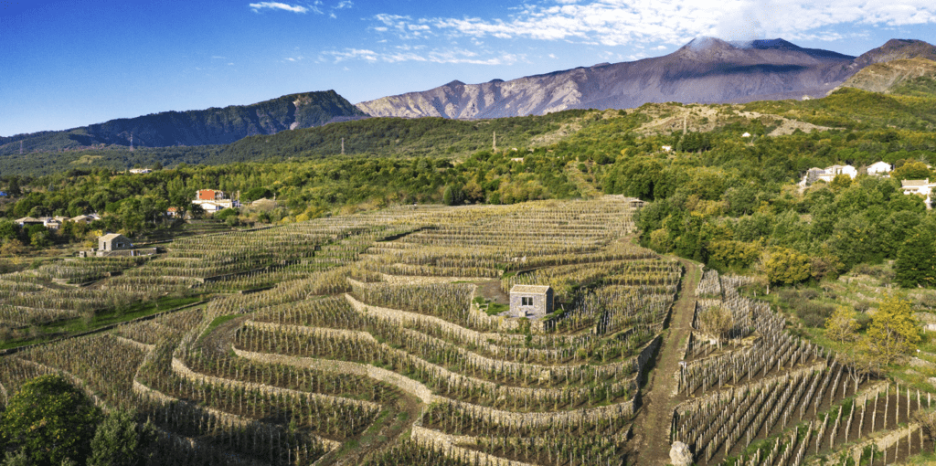 cantina Benanti