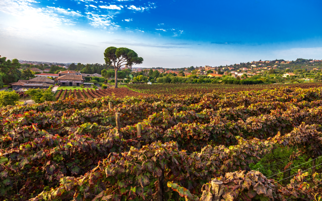 cantina Benanti