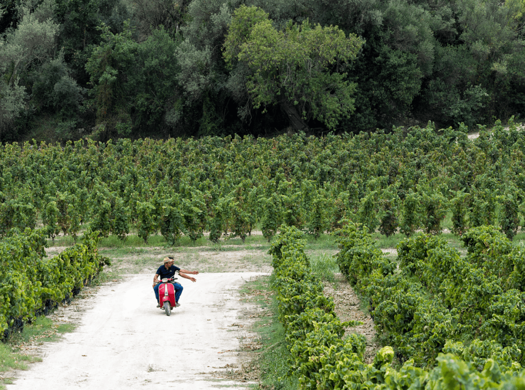 sicilia enoturismo