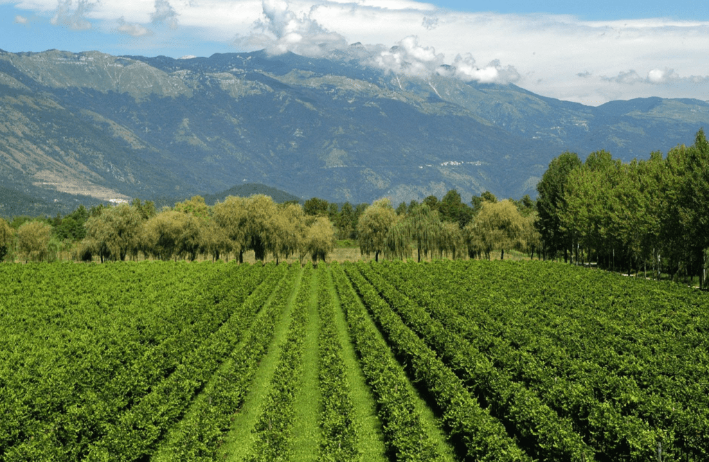 Giornate di Primavera FAI