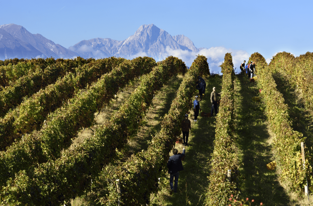 Consorzio Tutela Vini d’Abruzzo ProWein 2025