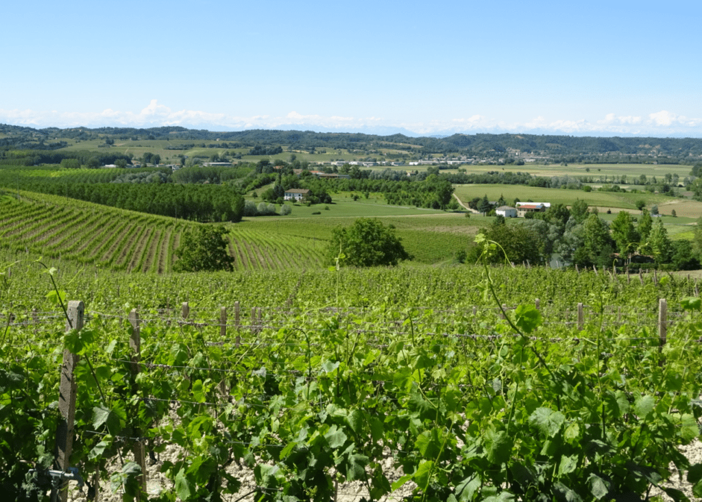 Nizza Tenuta Carretta